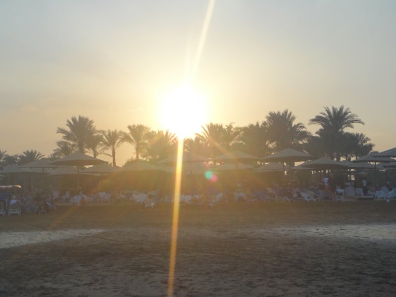 dsc00039.jpg