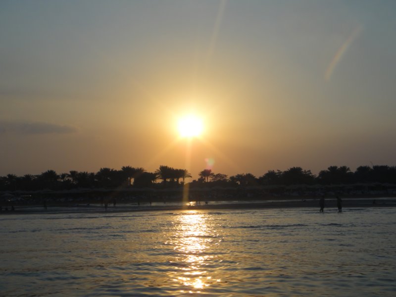 dsc00047.jpg