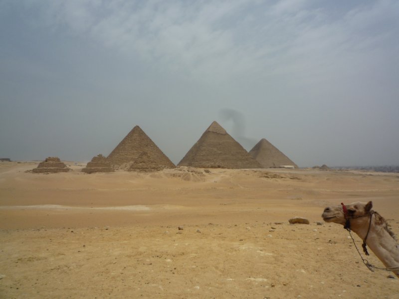 p1000803.jpg