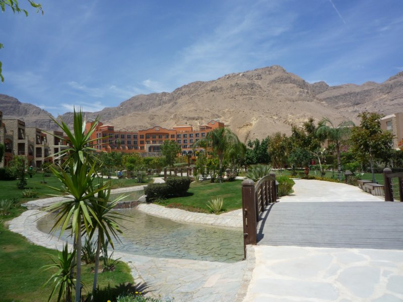 p1000819.jpg