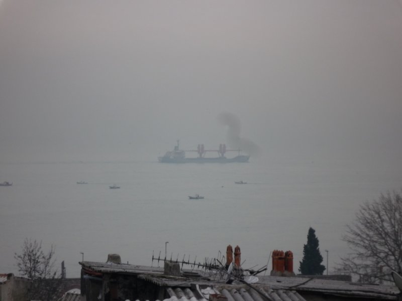 p1000683.jpg