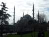 p1000733_small.jpg