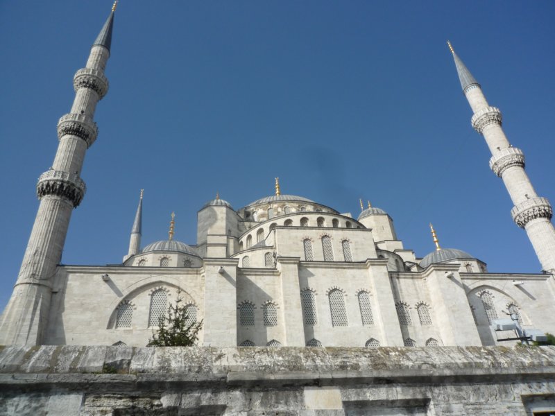 p1000739.jpg