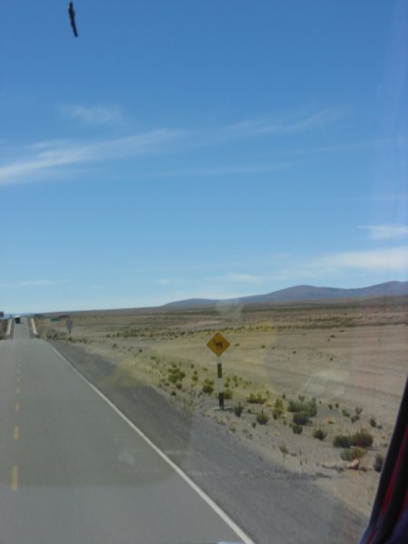 img_0732jpg.jpg