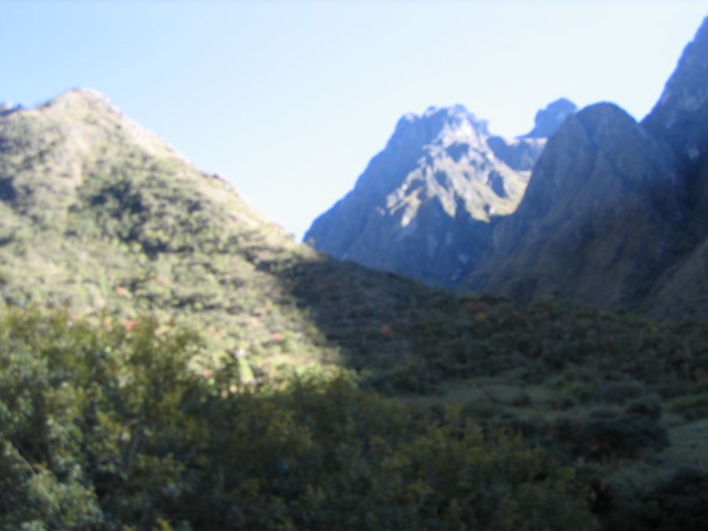 img_0986.jpg