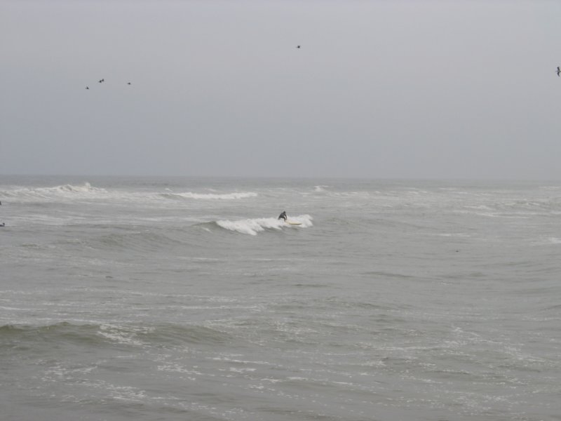 img_1072jpg.jpg