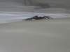 picture179jpg_small.jpg