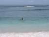 picture185jpg_small.jpg