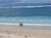 picture187jpg_small.jpg
