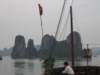 picture026_small.jpg