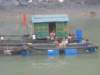 picture042_small.jpg